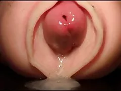 კოლეჯის teens cocksucking გარეთ