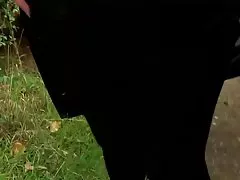 წვნიანი ტაილანდური teen მძიმეა